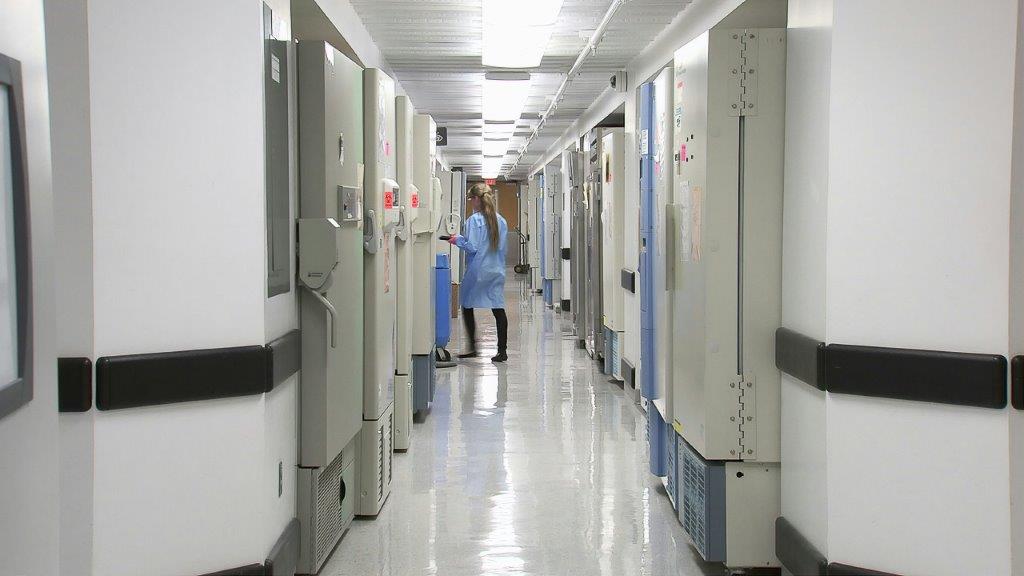 Understanding Patient Admission Pathways Through Acute Medical Services