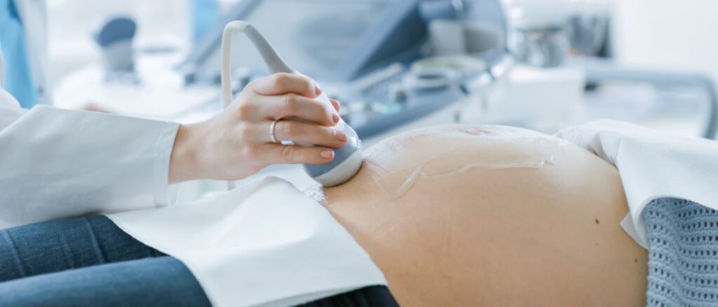 An exploration of the number and reason for pregnant and newly postnatal women’s attendance at the Emergency Department at University Hospital Birmingham