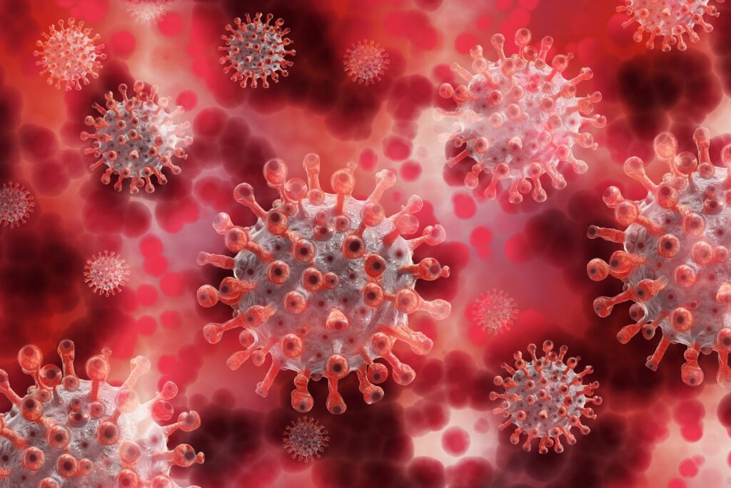 Understanding How the COVID-19 Pandemic Affected People Admitted to Hospital with Pneumonia